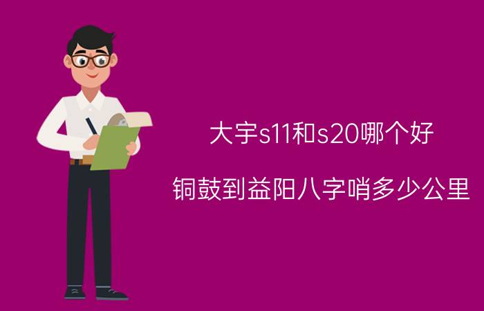 大宇s11和s20哪个好 铜鼓到益阳八字哨多少公里？